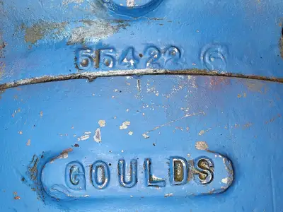 USED GOULDS 3175