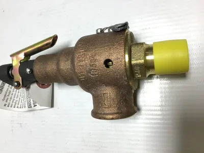 Kunkle 6010DCM01-KM Safety Relief Valve 1/2″NPT Capacity 189 SCFM Set 75