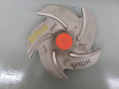 USED Goulds 3196