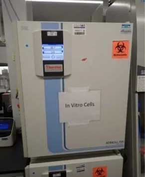USED 2021 THERMO SCIENTIFIC HERACELL VIOS 160I