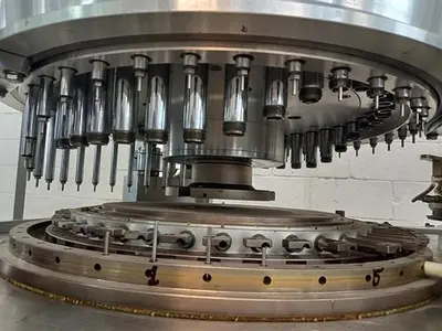 MG2 model G100 automatic capsule filler