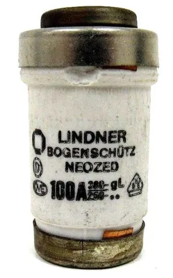 NEW LOT OF 10 LINDNER 100A FUSE