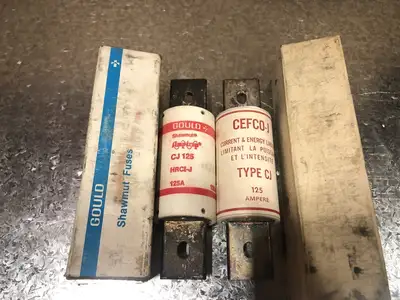 125 Amp Miscellaneous Fuses