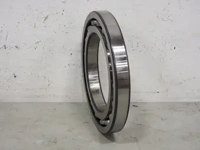 NEW FAG 16018