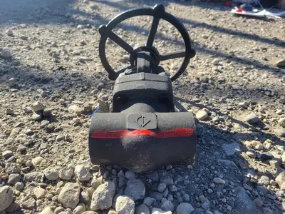 1 1/2" Class 800 Gate Valve API 602
