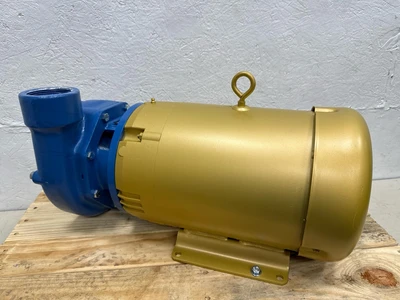 Goulds _UNKNOWN_ Other Pumps | Fram Fram LLC (8)