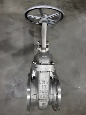 10" Class 150 Gate Valve B16.34