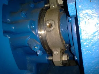 USED Goulds 3175