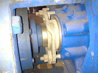 USED Goulds 3175