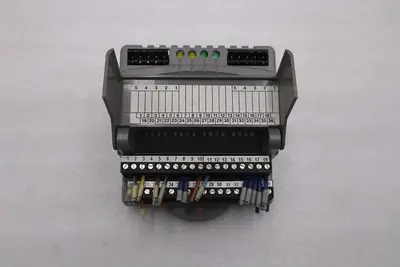 GIDDINGS & LEWIS M.1300.7372 R1 Input Module 24VDC SINK/SOURCE STOCK 623-D