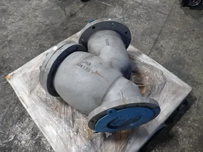 Industrial Check Valve