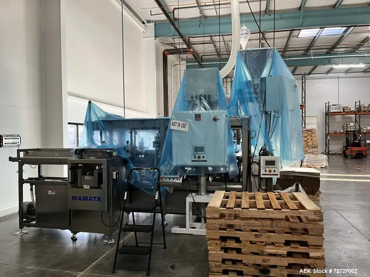 Used MAMATA PFS-250/14 Form & Fill Horizontal - Pre Made Bags Illinois US | Aaron Equipment #86687