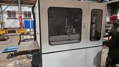 Timesavers 22 Series 900-WRD Deburring and Polishing Machine