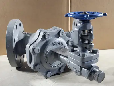 3" Class 300 Check Valve w/ Velan 3/4" Class 800 Gate Valve C-2054B-02TY