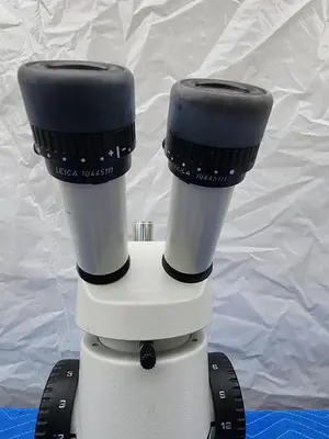 WILD HEERBRUGG MICROSCOPE WITH PLAN 1X (2 EYEPIECES LEICA 10X21B)