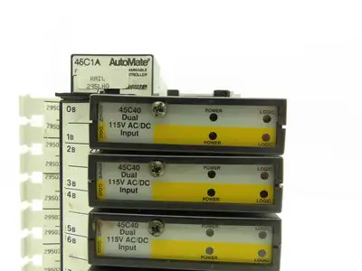 Reliance Electric 45C1A AutoMate Programmable Controller W/8 Dual 24V Inputs