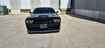 2017 DODGE CHALLENGER Vehicles | Platinum Group (2)