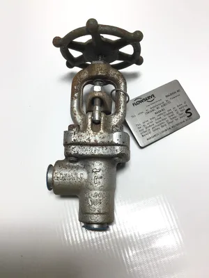 Flowserve B16.34LTD Gate Valve Class 800 1375PSI