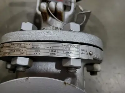 2" Class 150 Gate Valve API 600