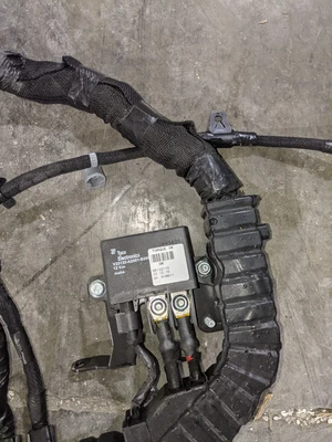 International Harness 7092671C92