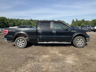 Used 2010 FORD F150 Pickup Trucks Michigan US | Miedema Asset Management Group #1425109