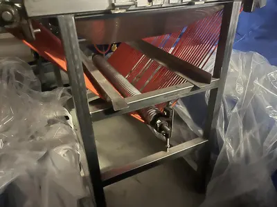 Berry Sizing Conveyor