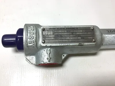 Crosby CGD-TI-99-0001 – 951200MA Omni-Trim Fixed Blowdown Relief Valve .50″ x 1″