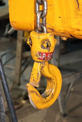 Harrington 
			3 Ton Chain Hoist