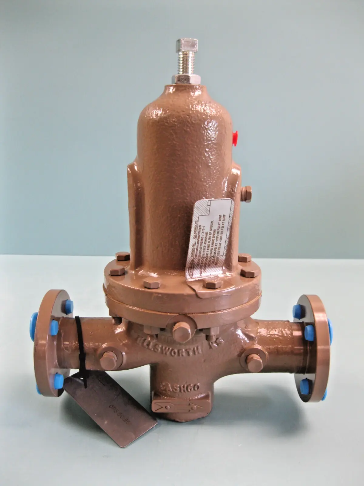 NEW Cashco D16-5XX7-4SX55161E