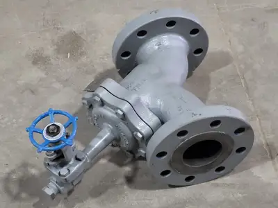 3" Fig 34 Y-Type Strainer w/ 3/4" Class 800 Gate Valve C-2054B-02TY