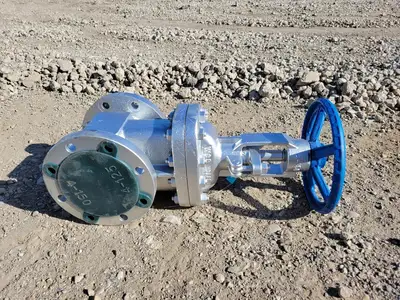 NEW DSI VALVES 37 XUF