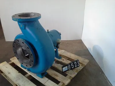 USED Goulds 3196