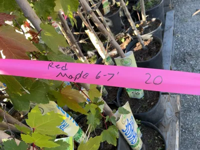Used _UNKNOWN_ _UNKNOWN_ Farm Supplies Michigan US | Miedema Asset Management Group #1476007