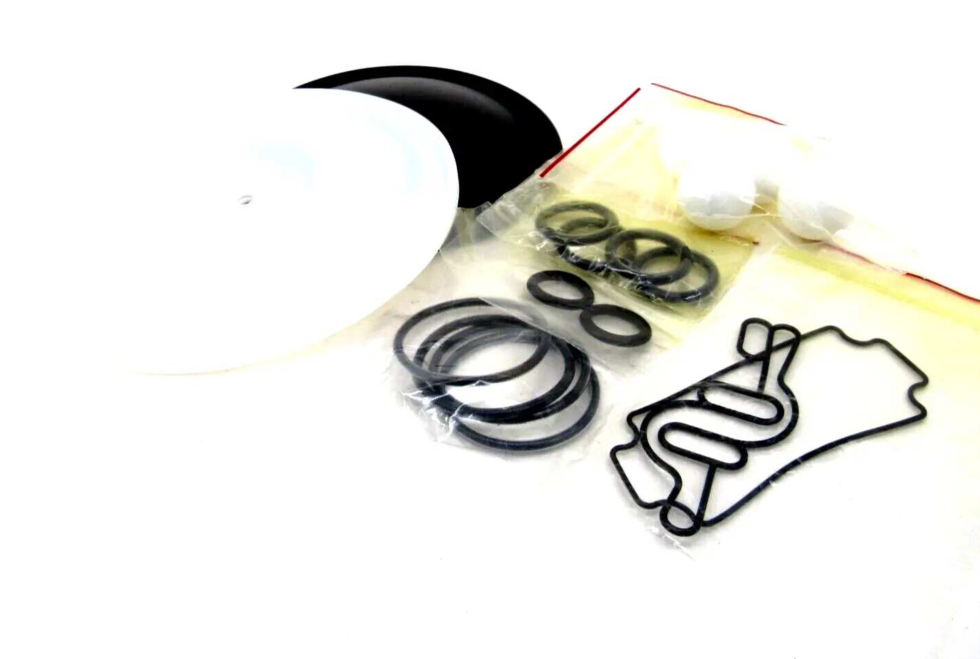 NEW WILDEN 02-9553-02 PUMP KIT 02955302