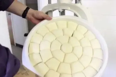 Erika Record | HDE Hand Dough Divider