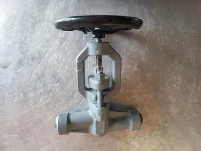 1" Class 900 Gate Valve B16.34