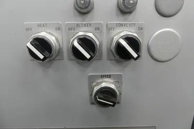 USED 2019 BOSCH SK200