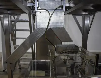 Apai bagger with 10 head scale