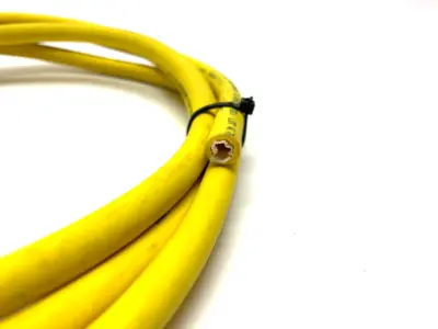 RKT 8-727/2M | Lumberg Automation  Single Ended Female 8 Pin Cordset 22 AWG Jacket - New Other