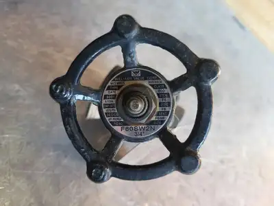 3/4" Class 800 Gate Valve B16.34