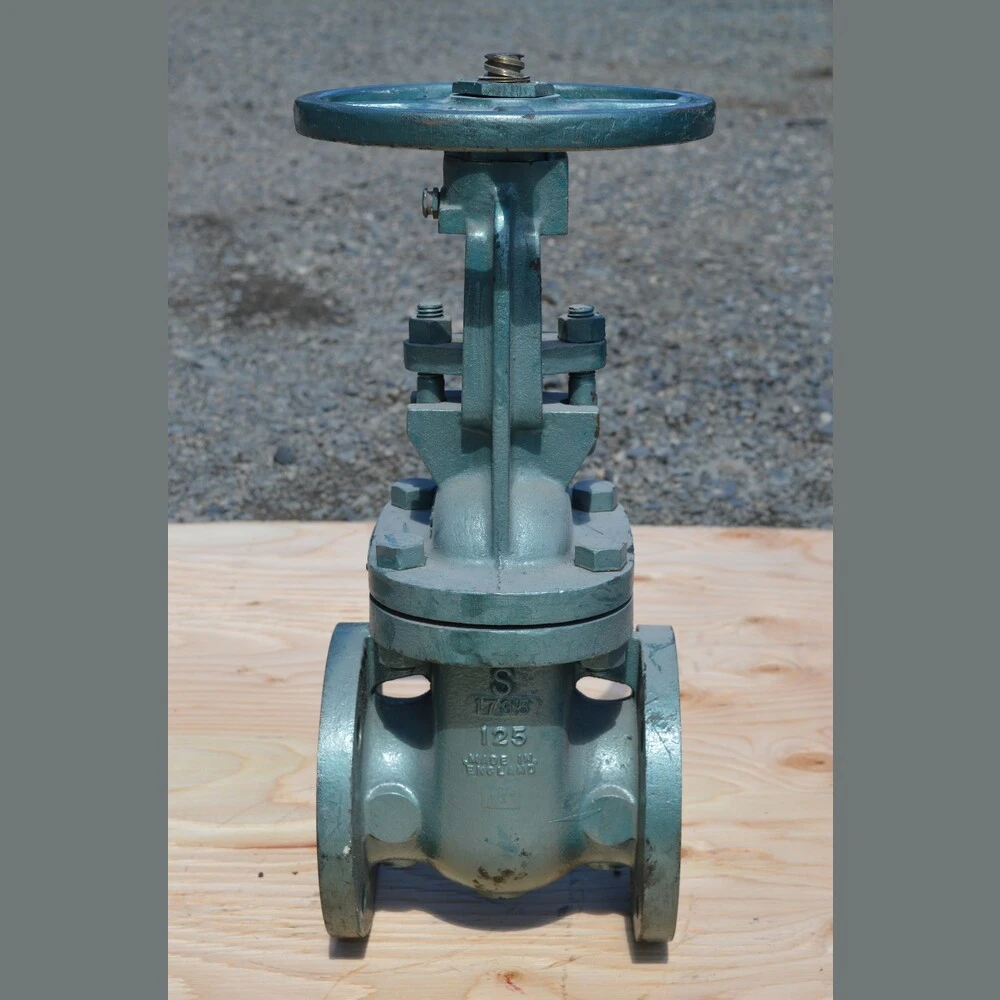 Hattersley Newman Hender 3 in. Gate Valve