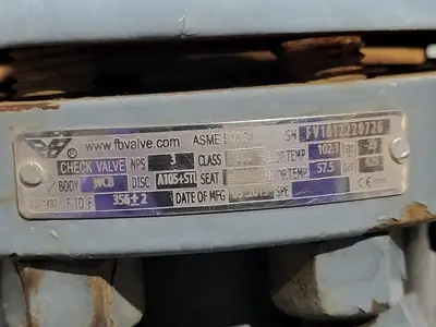 3" Class 600 Check Valve