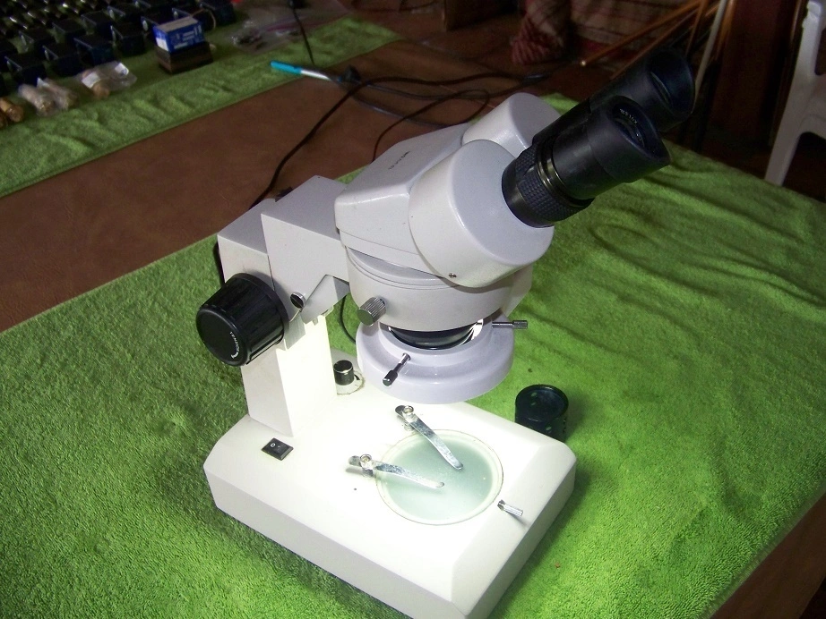 USED WESCO SWF10X/22 MICROSCOPE