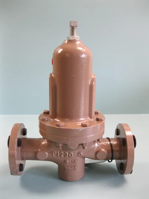 NEW Cashco D16-5XX7-5EX55233E