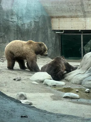 2000 CINCINNATI MILACRON 15VC-2000 Vertical Machining Centers | Developer Test Account (4)