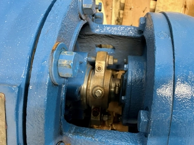 USED Goulds 3175