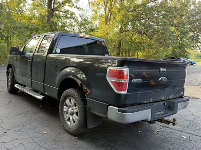 Used 2010 FORD F150 XLT Pickup Trucks Michigan US | Miedema Asset Management Group #1442128