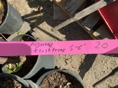Used _UNKNOWN_ _UNKNOWN_ Farm Supplies Michigan US | Miedema Asset Management Group #1476009