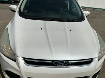Used 2014 FORD ESCAPE SUVs Michigan US | Miedema Asset Management Group #1414602