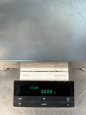 Metler Toledo SG32000 Precision Balance (11.4.1)